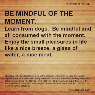 DI34_Be Mindful of the Moment
